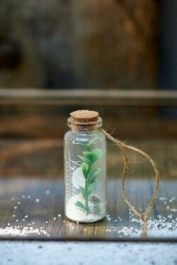 Botanical Favourites Mini Bottle