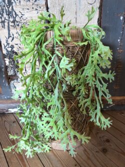 Kunstplant green coral hanging