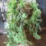 Kunstplant green coral hanging