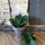 Kunstplant groene kalanchoe.