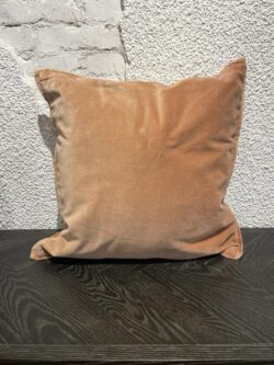 Pillow Velvet nut 50x50